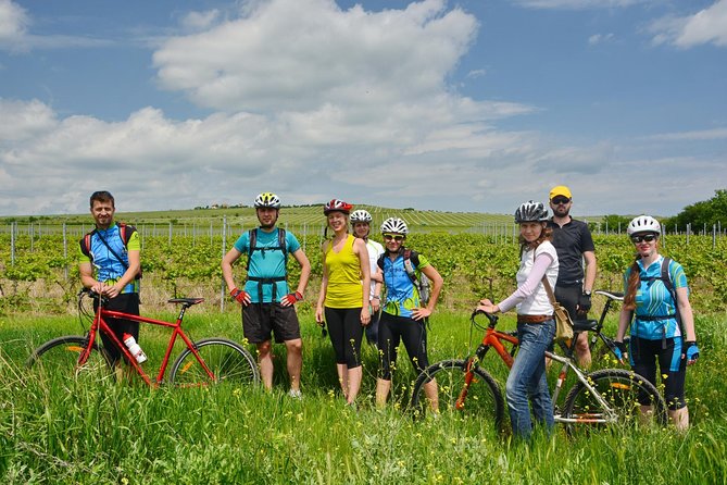 Bike & Wine tour in Dealu Mare wineland - Is the $139.67 price fair?