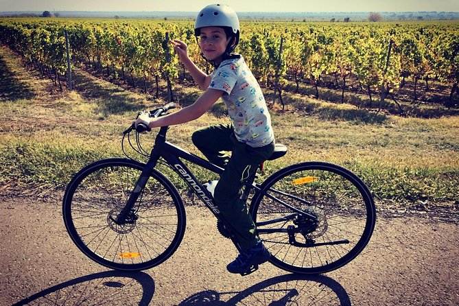 Bike & Wine tour in Dealu Mare wineland - Who should choose this tour?