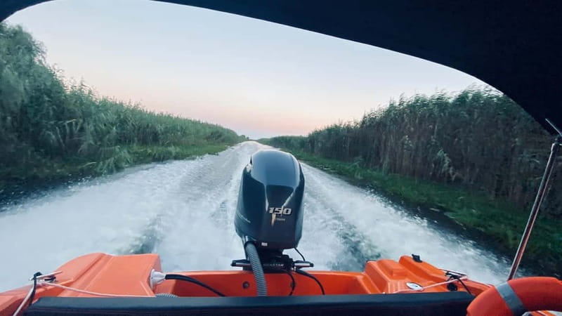 Boat Trip to Caraorman Forest – Danube Delta (6–7 hours) - From Murighiol into the old Sfântu Gheorghe arm