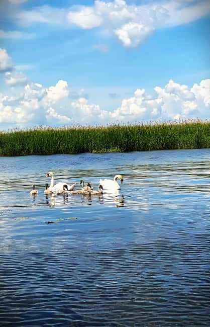 Boat Trip to Caraorman Forest – Danube Delta (6–7 hours) - A homemade fish lunch in Caraorman village