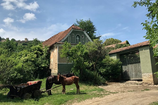Bran and Rasnov Castles Tour from Brasov - What to expect on the morning