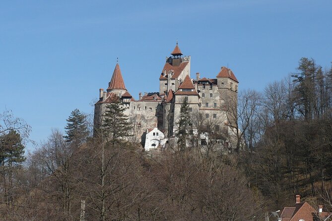 Bran Castle and more options private tour from Brasov - Libearty Bear Sanctuary near Zarnesti
