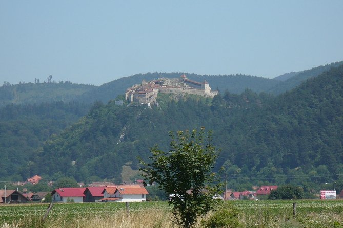 Bran Castle and more options private tour from Brasov - How the private format changes the day