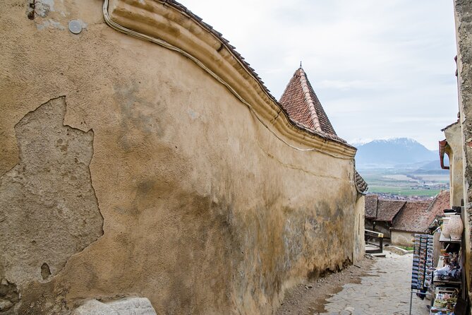 Bran Castle, Bear Sanctuary, and Rasnov Fortress Half Day Tour - A seven-hour route that is easier by car