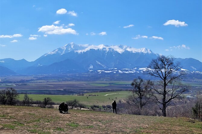 Bran Castle & Bear Sanctuary from Brasov - Optional Peles Castle - Why pair a bear sanctuary with Bran Castle?