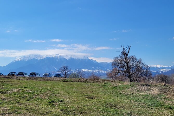 Bran Castle & Bear Sanctuary from Brasov - Optional Peles Castle - What the $192.25 price buys you