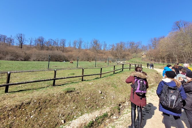 Bran Castle & Bear Sanctuary from Brasov - Optional Peles Castle - Guides, language, and the human side of the day