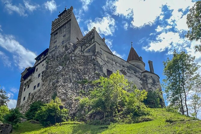 Bran (Dracula) Castle, Bear Sanctuary, Rasnov Fortress & Palinca Distillery - Libearty Bear Sanctuary: the most moving stop