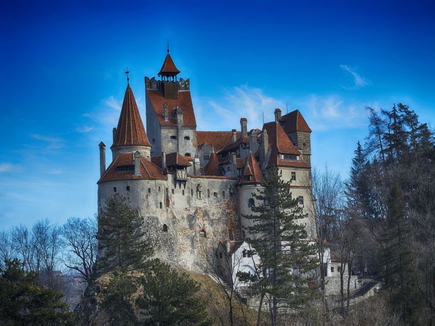 Bran: Guided Castle Tour - The secret passage and courtyard well finish the route