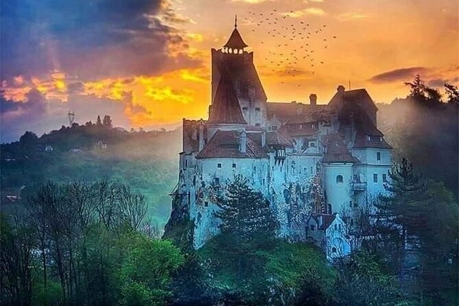 Brasov: Bear Sanctuary, Bran Castle & Rasnov Fortress GUIDED Tour - The Guides Make the Long Day Easier