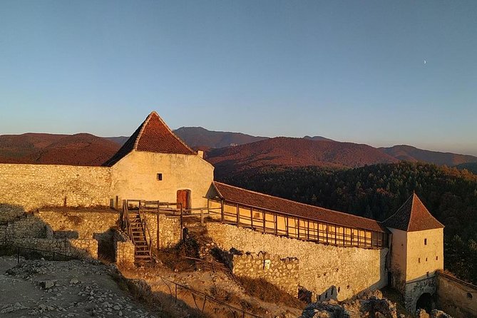 Brasov: Bear Sanctuary, Bran Castle & Rasnov Fortress GUIDED Tour - What the $69.54 Price Really Covers