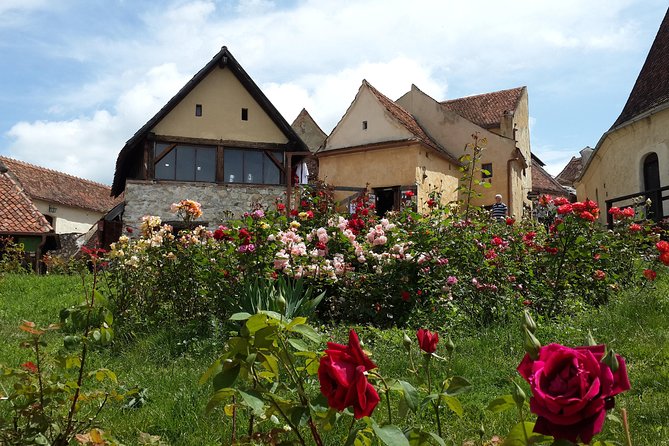 Brasov: Bear Sanctuary, Bran Castle & Rasnov Fortress GUIDED Tour - Who Should Book This Experience?