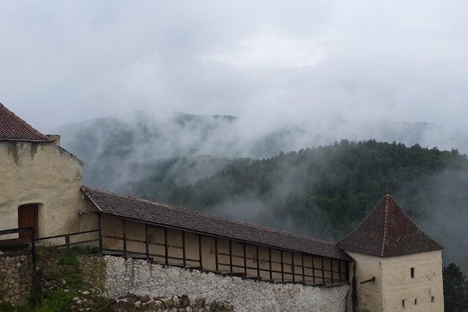Brasov: Bear Sanctuary, Bran Castle & Rasnov Fortress GUIDED Tour - Should You Book the Bear Sanctuary, Bran Castle, and Rasnov Tour?