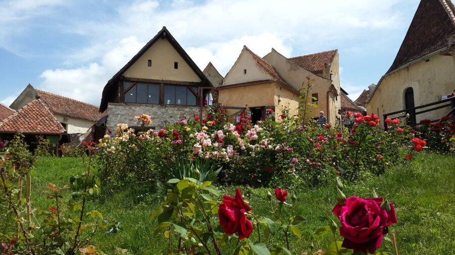 Brasov: Bear Sanctuary, Bran Castle & Rasnov Fortress Tour - Three Transylvanian sights in one long day