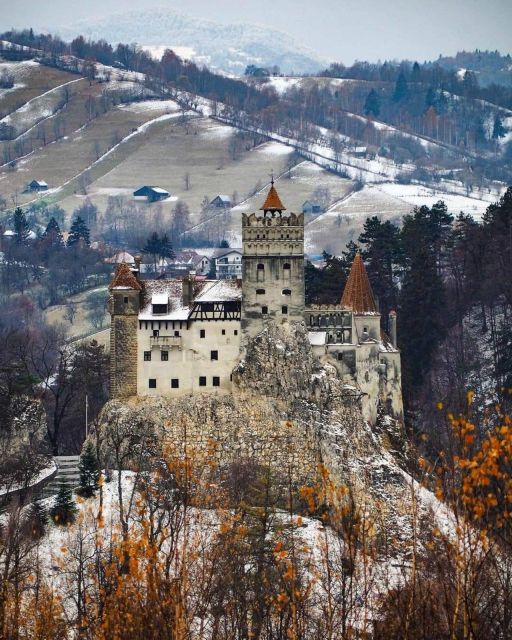 Brasov: Bear Sanctuary, Bran Castle & Rasnov Fortress Tour - Meeting rescued bears at Libearty