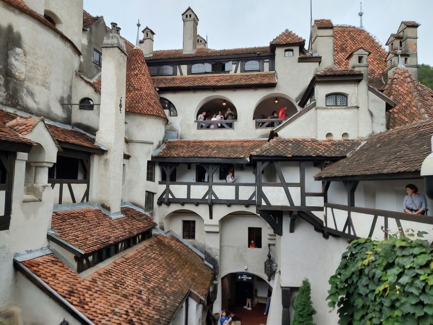 Brasov: Bear Sanctuary, Bran Castle & Rasnov Fortress Tour - Rasnov Fortress above the town