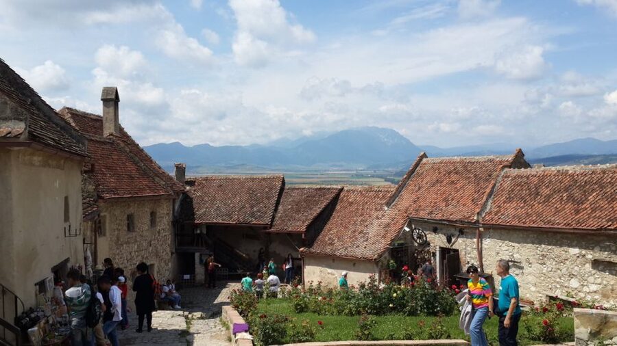 Brasov: Bear Sanctuary, Bran Castle & Rasnov Fortress Tour - What the small group changes