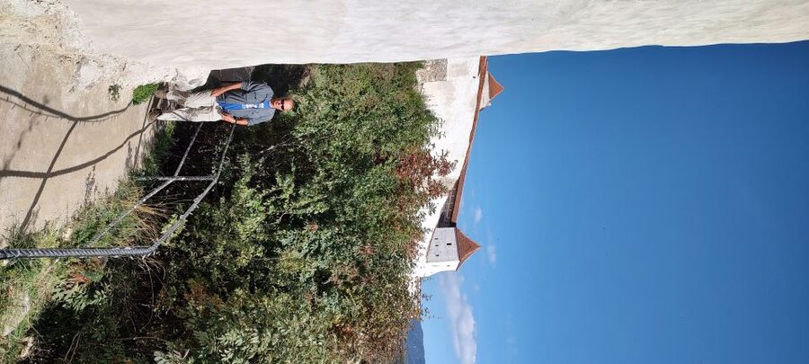Brasov: Bear Sanctuary, Bran Castle & Rasnov Fortress Tour - Is $61 a fair price?