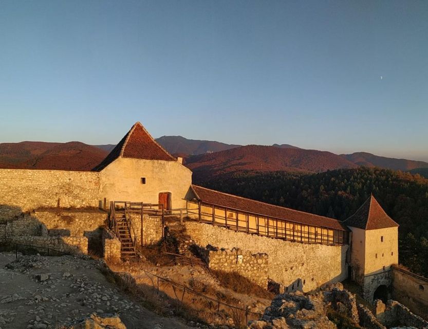 Brasov: Bear Sanctuary, Bran Castle & Rasnov Fortress Tour - Should you book the Bear Sanctuary, Bran Castle, and Rasnov Fortress tour?