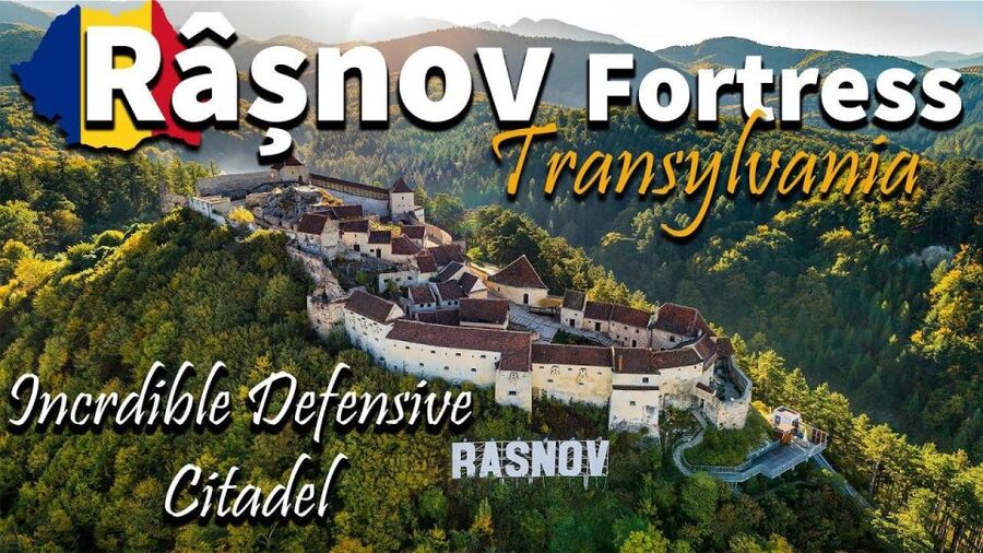 Brasov: Bear Sanctuary, Dracula Castle, and Râşnov Fortress - Group size, guides, and the ride