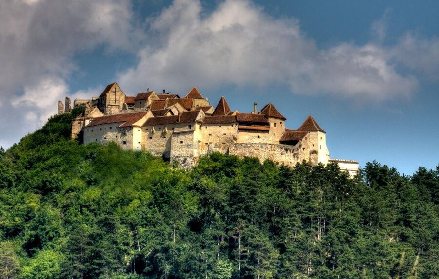 Brasov: Bear Sanctuary, Dracula Castle, and Râşnov Fortress - Walking into Libearty Bear Sanctuary in Zărnești