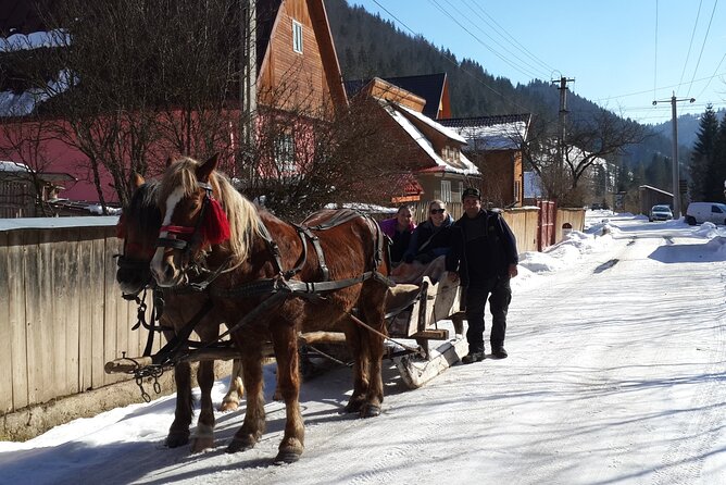 Brasov: Bears Sanctuary, Rasnov Fortress, Bran Castle GUIDED Tour - Small-group transport and the eight-hour schedule