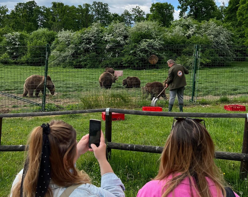 Brasov: Bran Castle, Bear Sanctuary, Rasnov (Peles Optional) - Key points at a glance