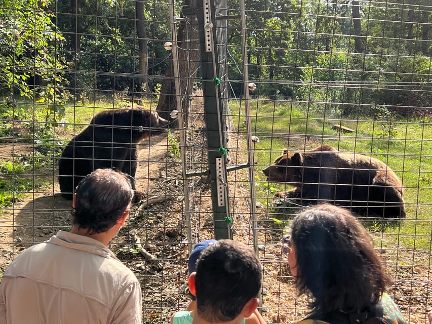 Brasov: Bran Castle, Bear Sanctuary, Rasnov (Peles Optional) - What the $115 price really covers