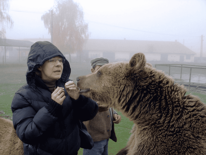 Brasov: Libearty Bear Sanctuary - Key points to know before booking