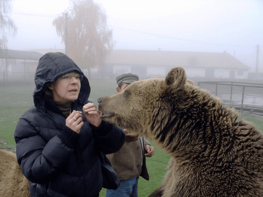 Brasov: Libearty Bear Sanctuary - Entering the forest home of more than 130 bears