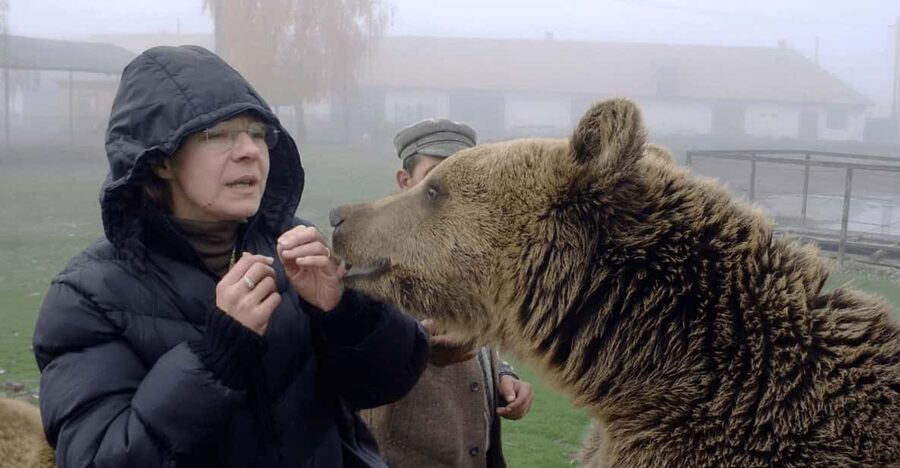 Brasov: Libearty Bear Sanctuary - From Brașov to the sanctuary by minibus