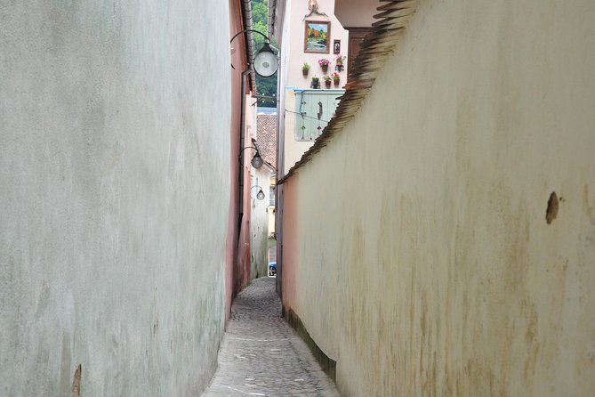 Brasov Old Town Small-Group Walking Tour - Rope Street and the view toward the hills