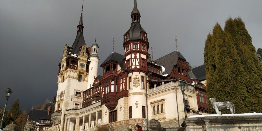 Brasov: Peles Castle, Bran Castle & Rasnov Fortress Day Tour - Transport, timing, and group comfort