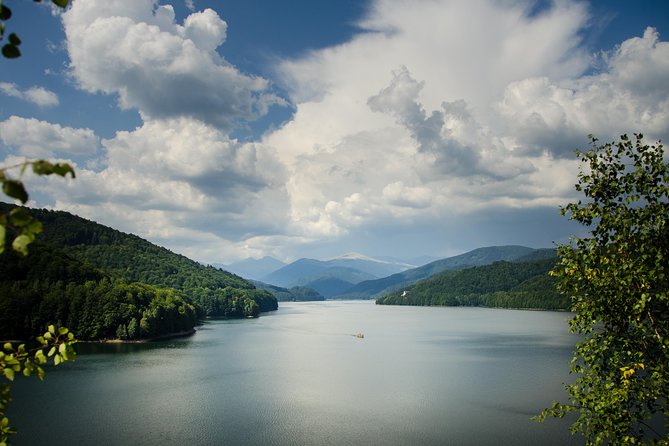 Brasov Private Tour: Transfagarasan road & Poienari Fortress - Is $223.26 per person good value?