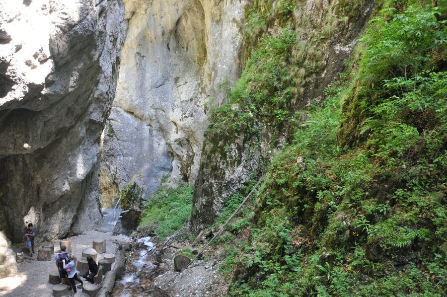 Brasov: Small-Group 7 Ladders Canyon Day Trip - Who should book this outing?