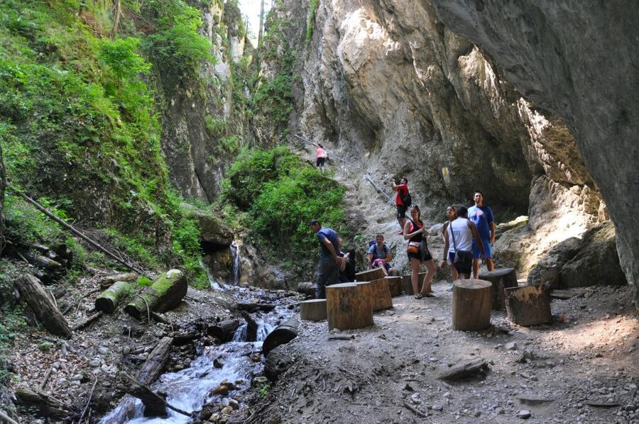 Brasov: Small-Group 7 Ladders Canyon Day Trip - Why 7 Ladders Canyon makes a good Brasov day trip