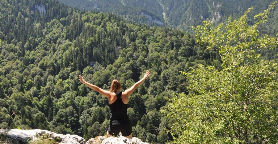 Brasov: Small-Group 7 Ladders Canyon Day Trip - The 45-minute forest walk to the gorge