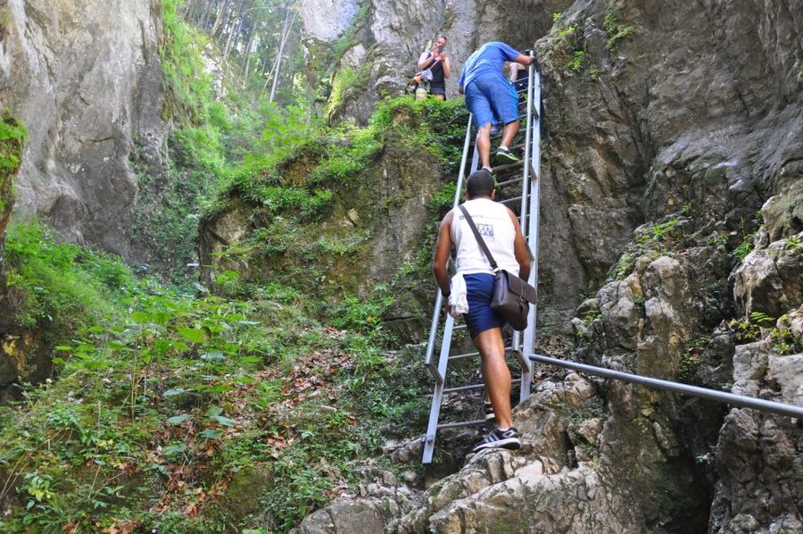 Brasov: Small-Group 7 Ladders Canyon Day Trip - What the guides add