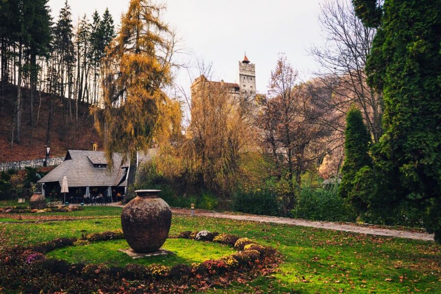 Bucharest: Bran Castle and Bear Sanctuary Small-Group Tour - Bran Castle and the Dracula connection