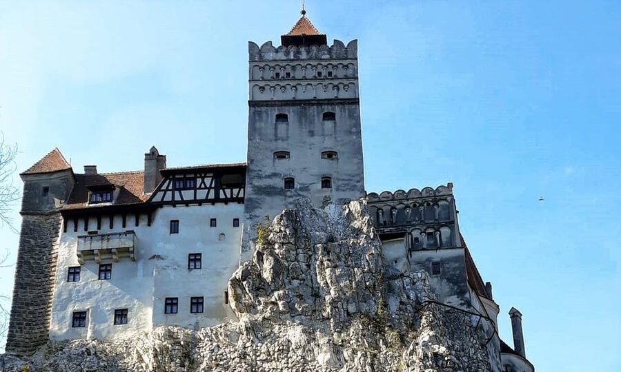 Bucharest: Bran Castle and Bear Sanctuary Small-Group Tour - FAQ
