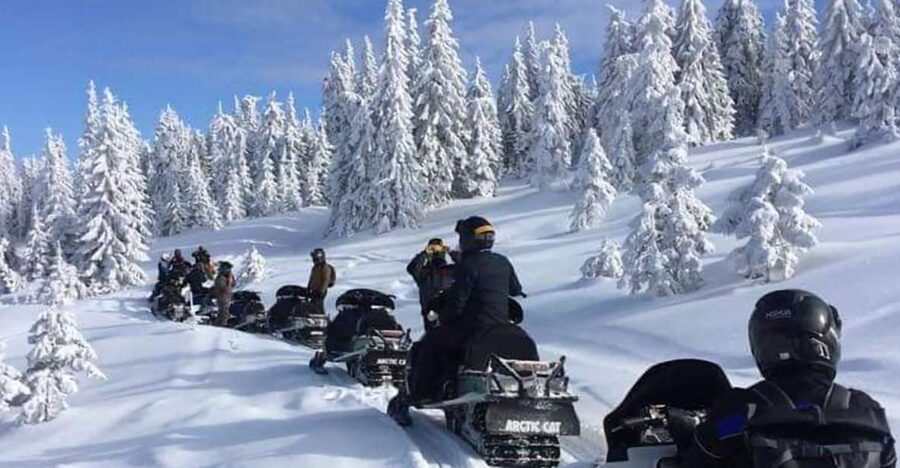 Bucharest: Carpathian Snowmobile / ATV Adventure Tour - The Azuga snowmobile or ATV ride
