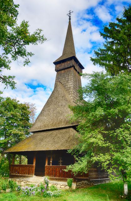 Bucharest City Tour with Village Museum - Who should book this Bucharest tour