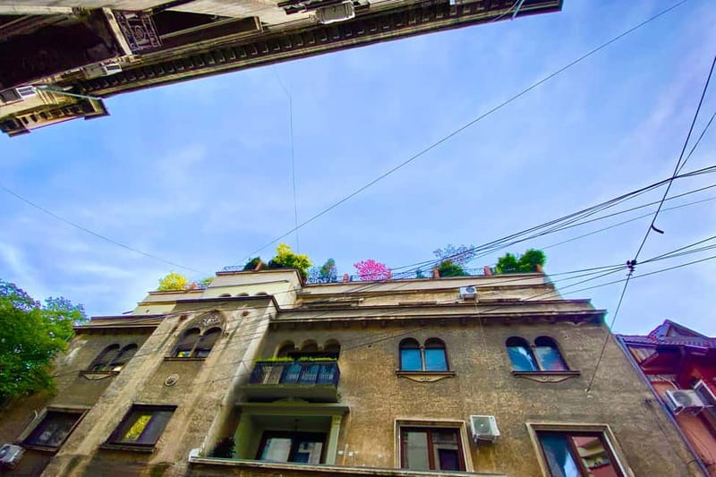 Bucharest: Craft Beer Tour with Traditional Meal - Timing, walking, and what to bring