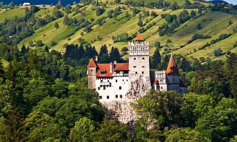Bucharest: Day Trip to Bear Sanctuary, Bran Castle & Brasov - The Teddy Bear Museum’s Surprising Detour
