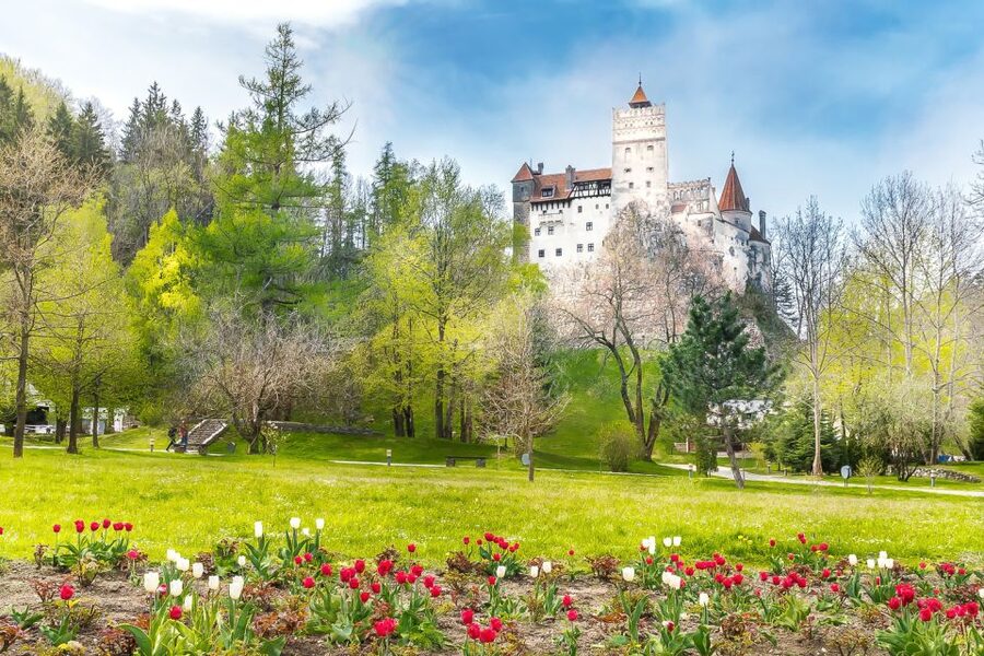 Bucharest: Day Trip to Dracula Castle, Peles Castle & Brașov - Practical tips for making the day better