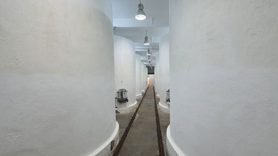 Bucharest: Dealu Mare Winery Private Trip with Wine Tasting - What the private format adds