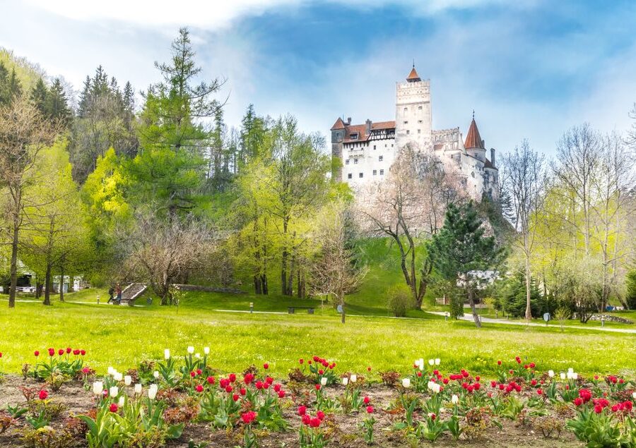 Bucharest: Dracula Castle, Peles Castle & Brasov Guided Tour - Peleș Castle: the visual highlight