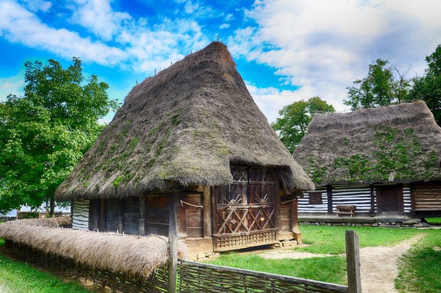 Bucharest Full Day City Tour - Village Museum Preserves Rural Romania