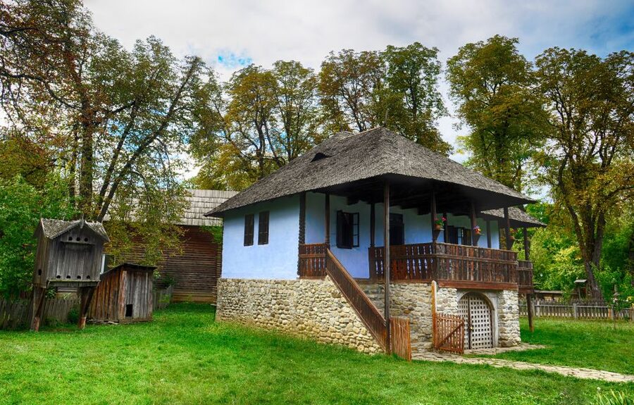 Bucharest: Half-Day Sightseeing Tour - Who will get the most from this Bucharest tour?