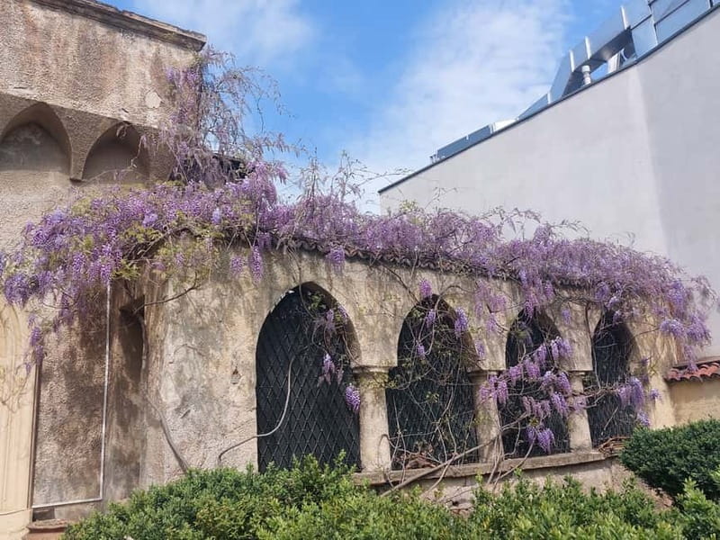 Bucharest: Hidden Gems 2.5-Hour Walking Tour - Ioanid block and the Icoanei mahala